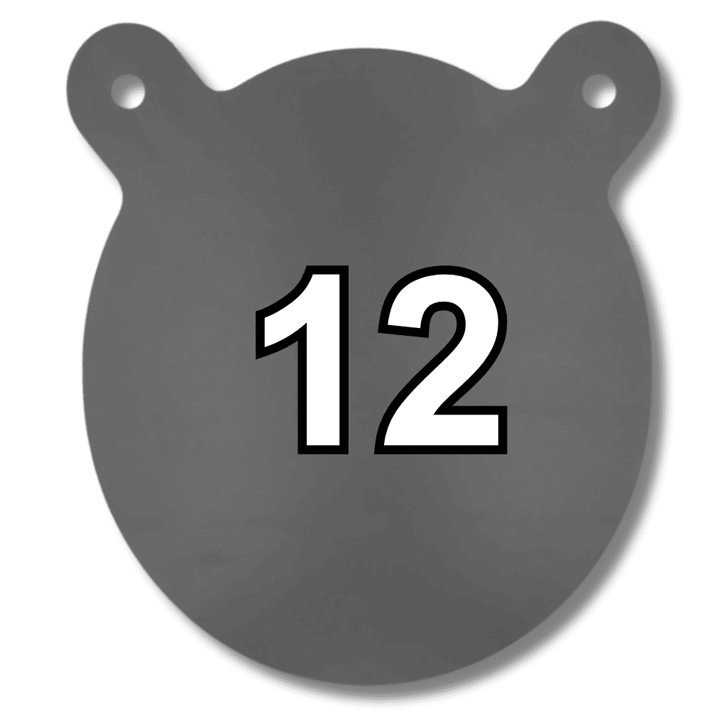 12 inch gong