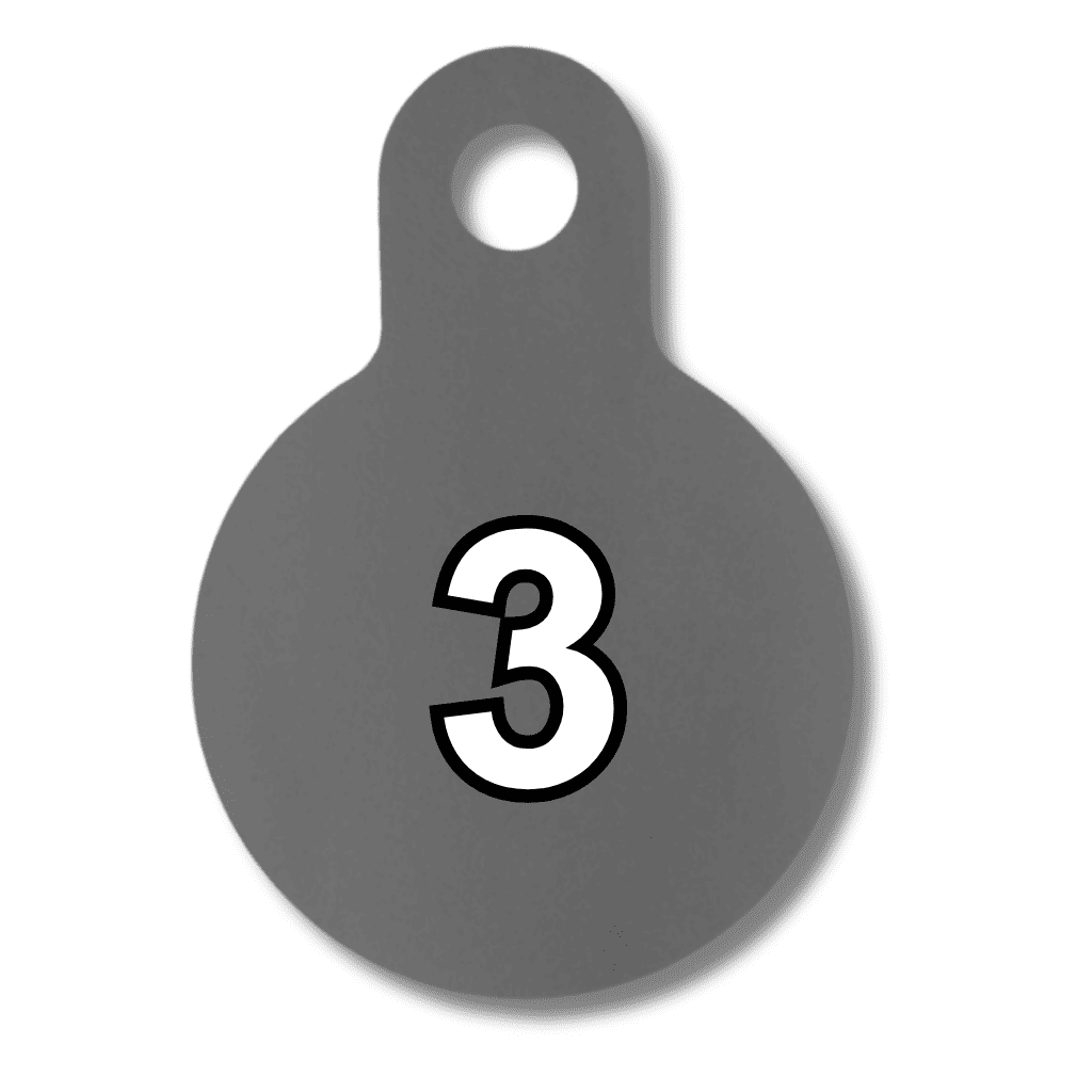3 inch gong