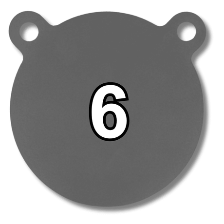 6 inch gong