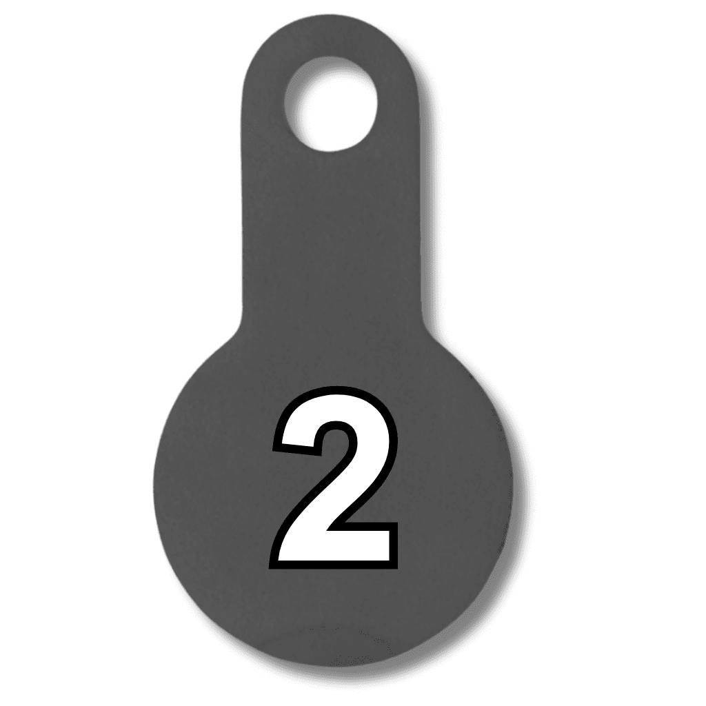 2 inch gong