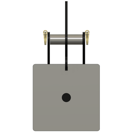 Biathlon Targets 1 Inch